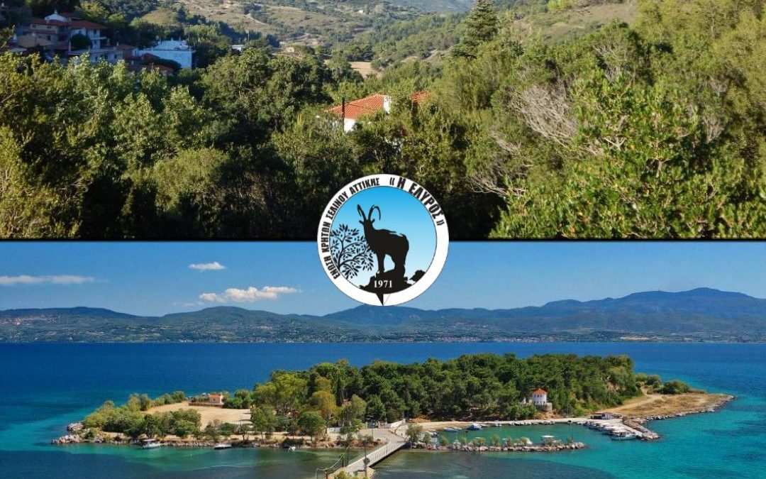 Ημερήσια Εκδρομή σε ΕΡΕΤΡΙΑ – ΣΕΤΑ – ΧΑΛΚΙΔΑ την Κυριακή 18 Ιουνίου 2023