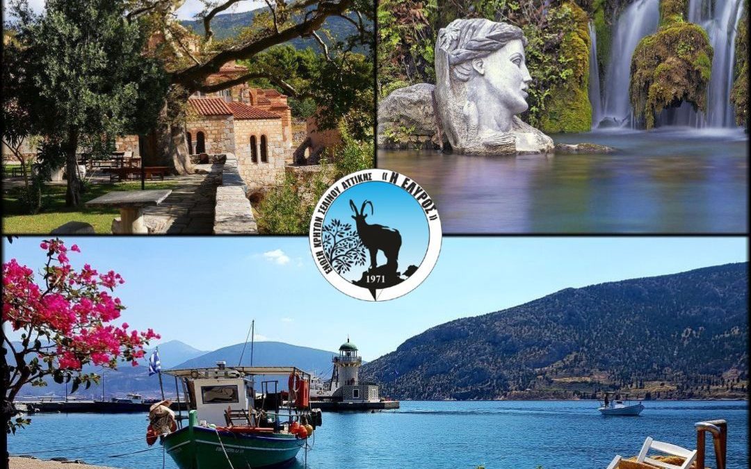 Ημερήσια Εκδρομή σε ΜΟΝΗ ΟΣΙΟΥ ΛΟΥΚΑ – ΠΑΡΑΛΙΑ ΔΙΣΤΟΜΟΥ – ΠΗΓΕΣ ΚΡΥΑ ΛΙΒΑΔΕΙΑΣ την Κυριακή 21 Απριλίου 2024