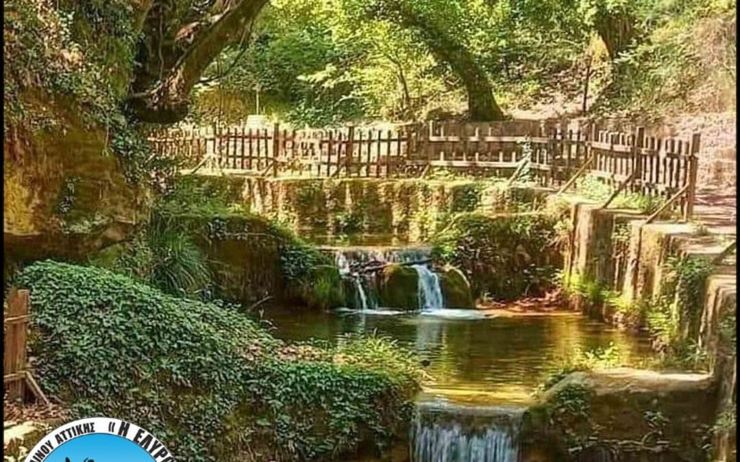 Ημερήσια Εκδρομή στην Ευρωστίνη | 31 Mαίου